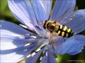 003_P8222071u