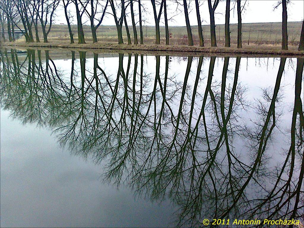 014_Fotografie0009-w.jpg - Ivanovice na Hané 18. 2. 2011 - rybník Kačák.