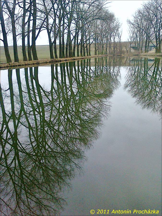 015_Fotografie0010-w.jpg - Ivanovice na Hané 18. 2. 2011 - rybník Kačák.