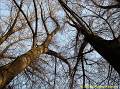 006_P1170153-w
