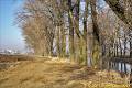 008_P1170159-w
