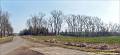 020_P3200458-0459-u