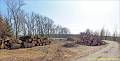 031_P3200510-0511-u