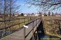 003_P1170204-w