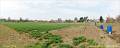 003_P4176821-6823w