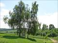 244_Svabenice_P6172892u
