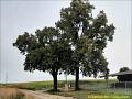 246_Svabenice_20240822_080651w