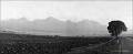 26_panorama_tatry_od_v_slavkova