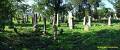 0192_zid-h-panow