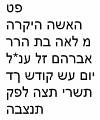 015_zidovsky_hrbitov_napis-hebrew